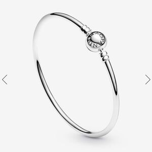 Silver Pandora Bracelet